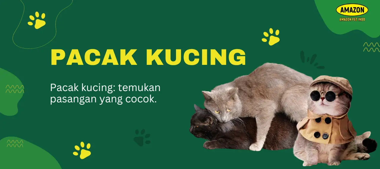 Pacak Kucing Amazon Pet Indo